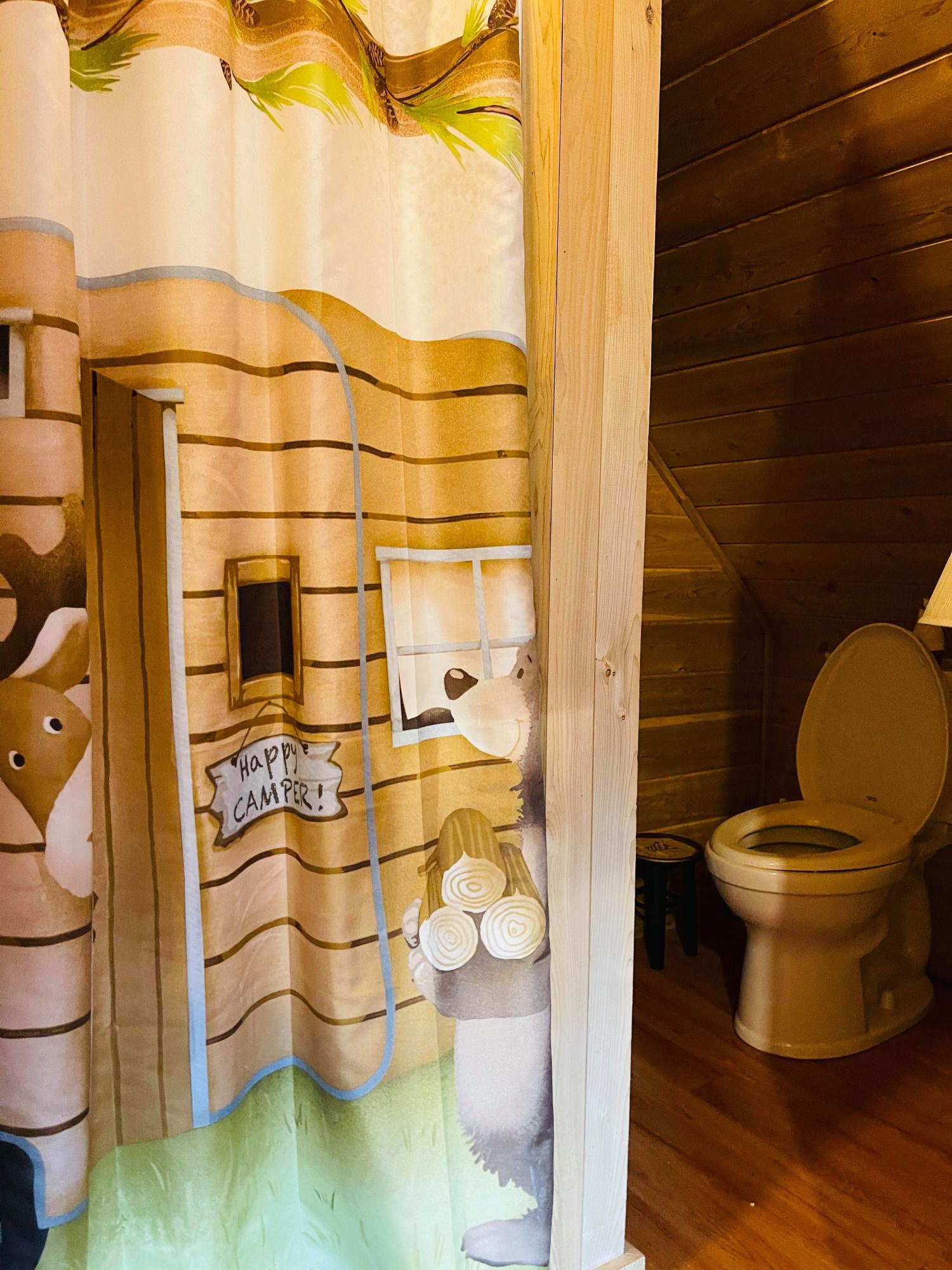 55 Shale Ridge Road Lincoln, ME 04457 - Photo 29 of 42 178658335_2932839966994974_5542799598374