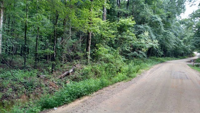 Lot #5 Childs Road Macon, GA 31217 - Photo 2 of 2