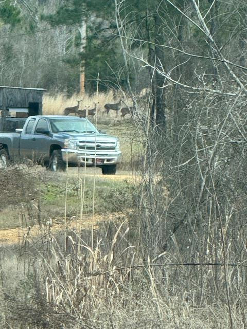 1111 Mt Olive Road Southeast Bogue Chitto, MS 39629 - Photo 1 of 13 Main View