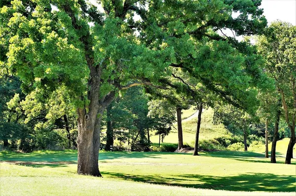 a view of a lake with a big yard