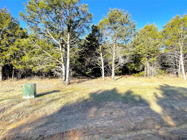 a view of back yard of the house