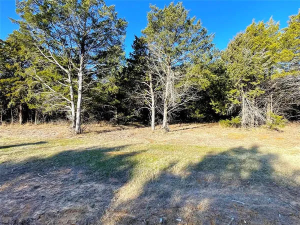 a view of yard with tree