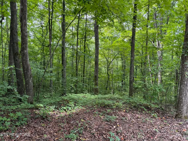 $24,900 | 36 Bass Hvn Drive, Sharps Chapel, TN 37866