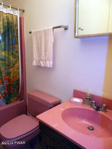 1041 Deer Valley Road Lake Ariel, PA 18436 - Photo 9 of 37 BATH 2