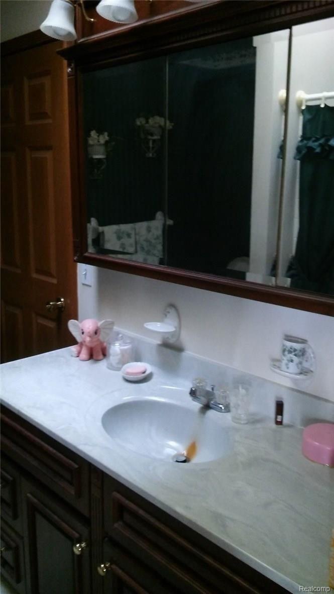 19028 Williamsville Road Gregory, MI 48137 - Photo 21 of 37 Main bath 1.jpg