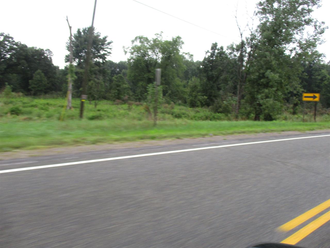 0 South State Road Owosso, MI 48867 - Photo 11 of 13
