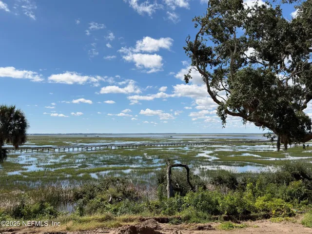 a view of yard with large tree