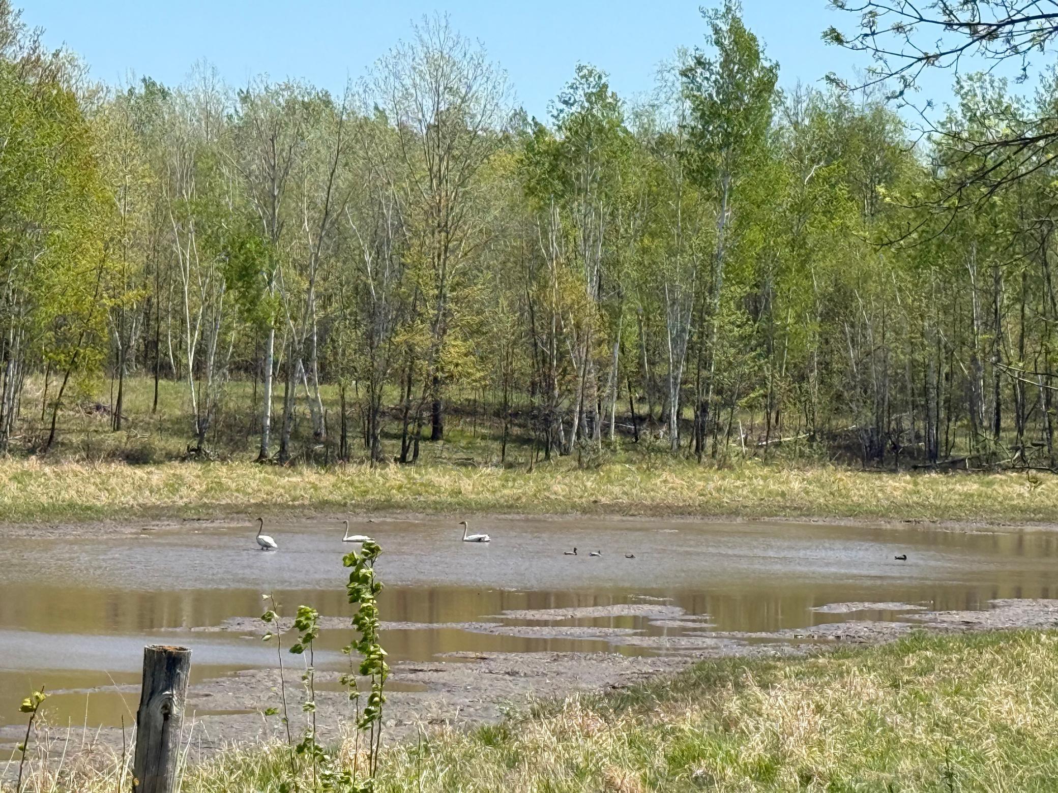 Na Dove Road Hinckley, MN 55037 - Photo 32 of 43