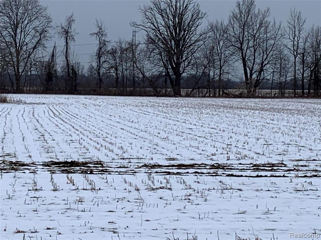 17198 34 Mile Road Armada, MI 48005 - Photo 3 of 5 Gallery Image 3