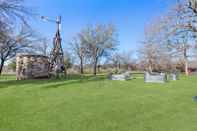 a view of a park with large trees