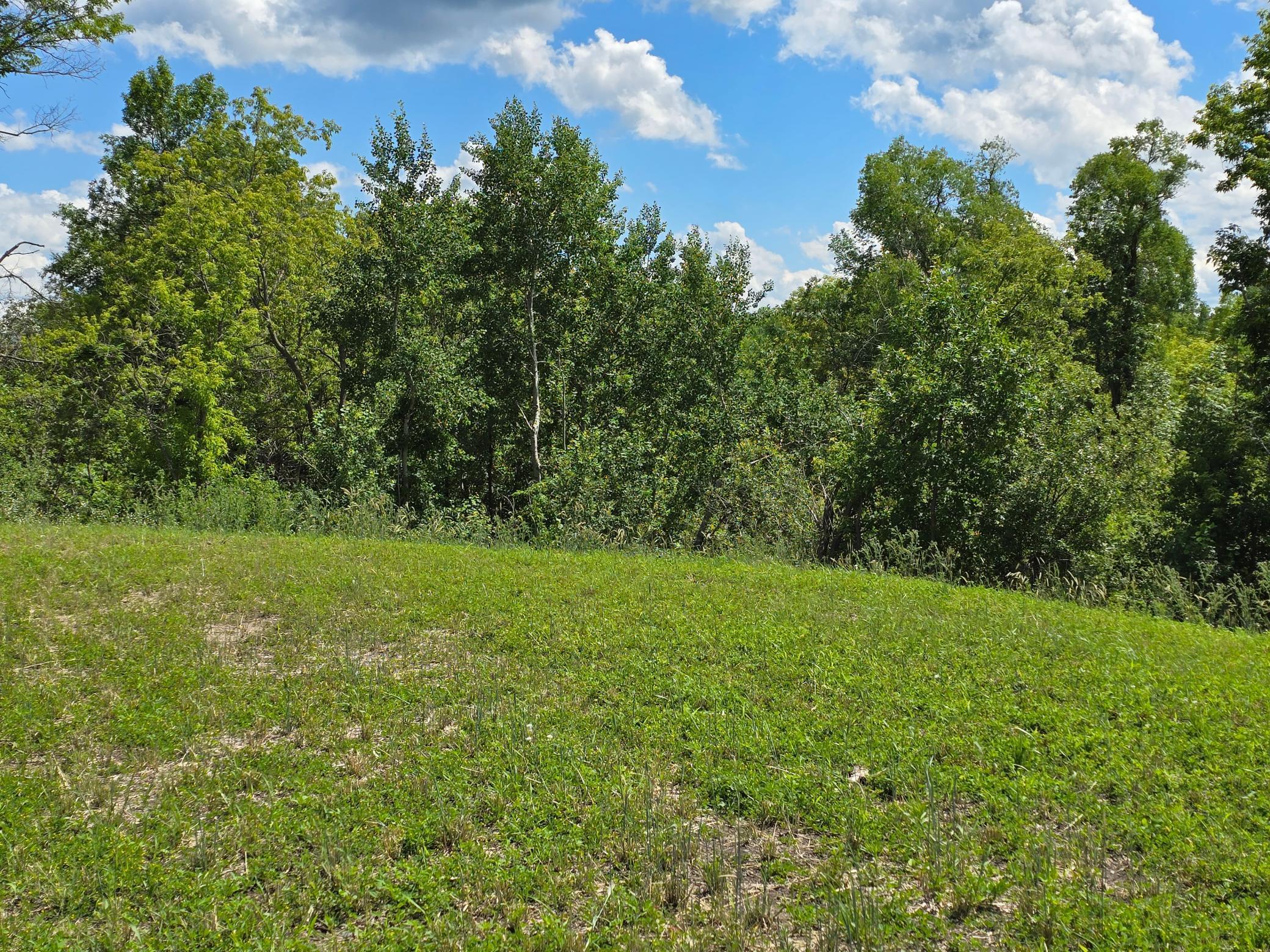 1 Branch Creek Road Detroit Lakes, MN 56501 - Photo 17 of 21