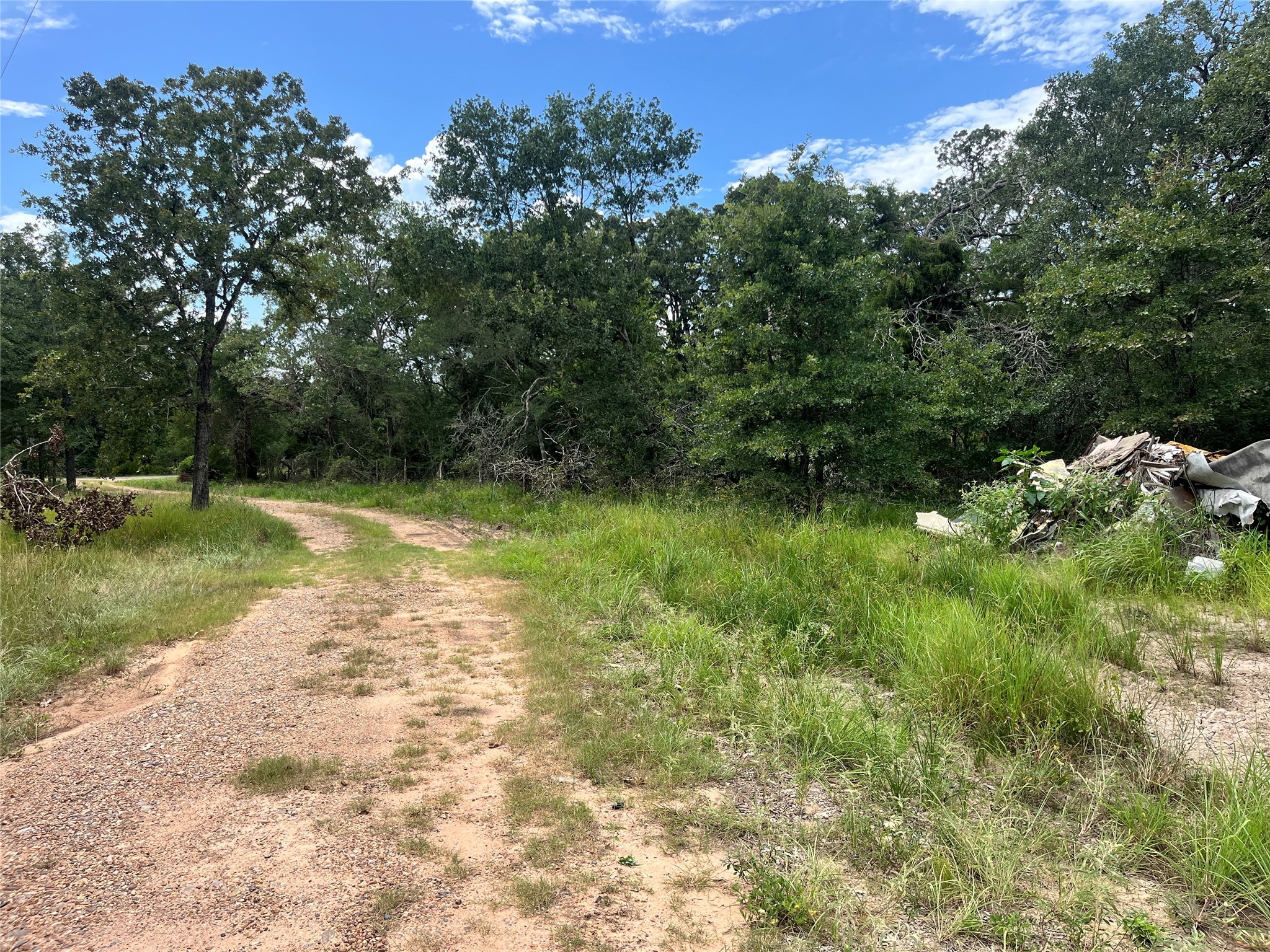 22243 Kmiec Road Hempstead, TX 77445 - Photo 7 of 8