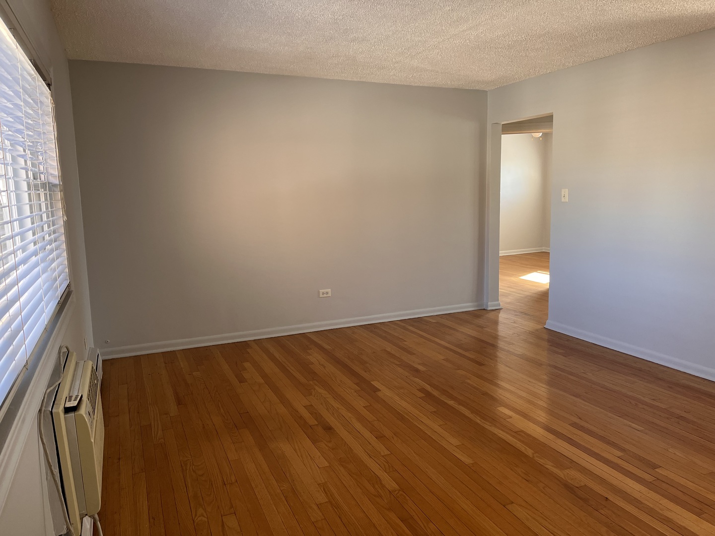 427 South Euclid Avenue, Unit H Oak Park, IL 60302 - Photo 2 of 9 a view of an empty room with wooden floor and a window
