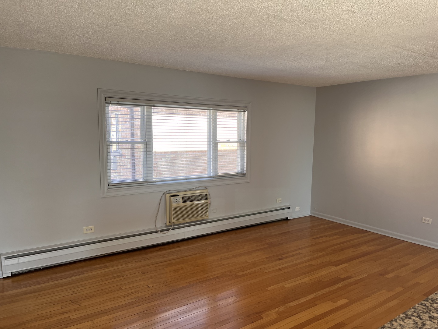 427 South Euclid Avenue, Unit H Oak Park, IL 60302 - Photo 3 of 9 an empty room with wooden floor and windows