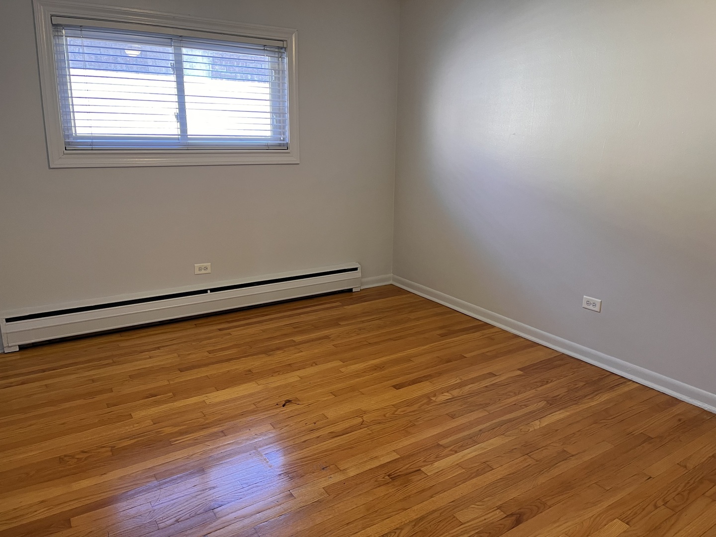 427 South Euclid Avenue, Unit H Oak Park, IL 60302 - Photo 9 of 9 an empty room with wooden floor and windows