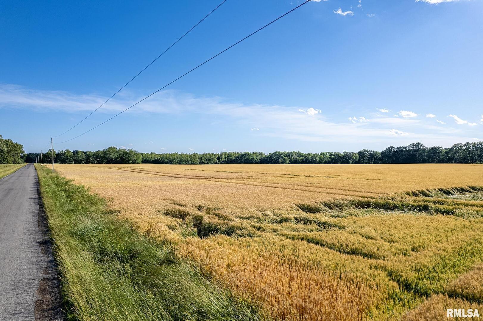0 1325 North County Road Cisne, IL 62823 - Photo 14 of 28