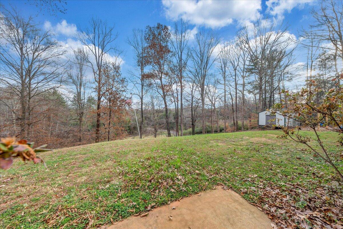 65 Avon Street Rocky Mount, VA 24151 - Photo 29 of 46 a fire hydrant in the middle of a field