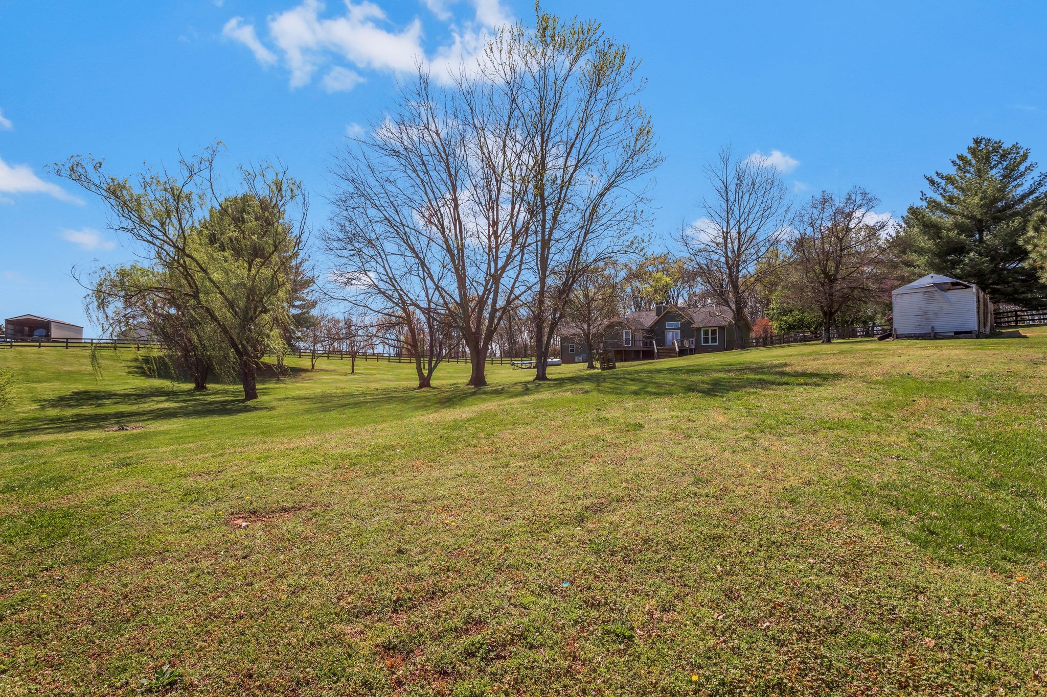 1006 Rip Steele Road Columbia, TN 38401 - Photo 22 of 26 a view of yard with swimming pool and green space