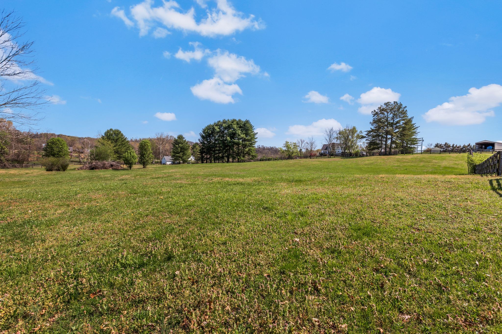 1006 Rip Steele Road Columbia, TN 38401 - Photo 23 of 26 a view of a field with an trees