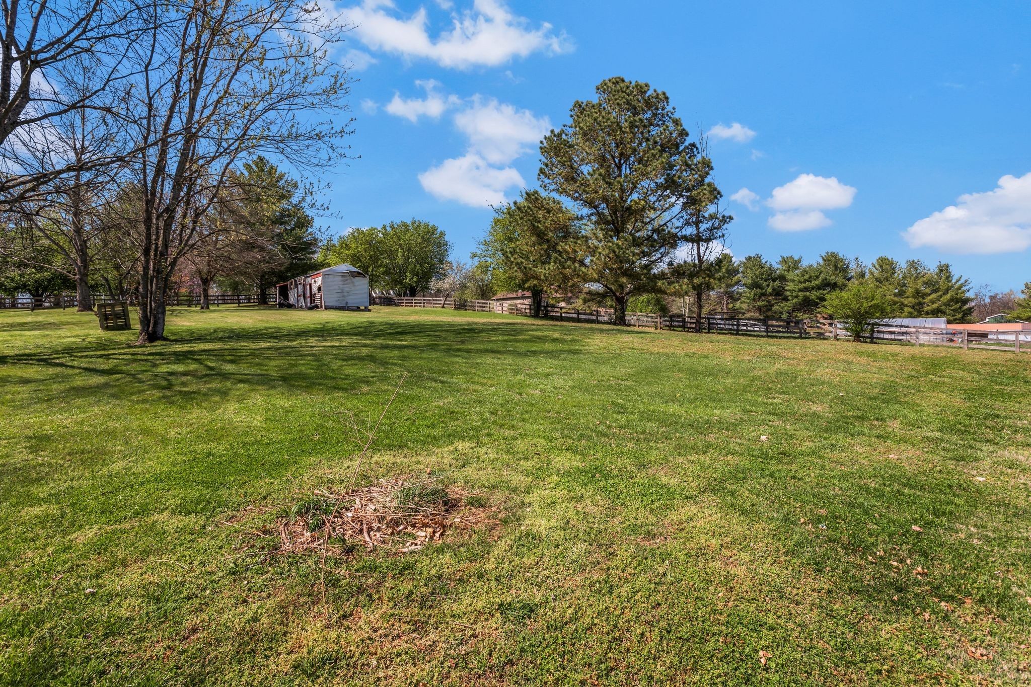 1006 Rip Steele Road Columbia, TN 38401 - Photo 24 of 26 a big yard with lots of green space