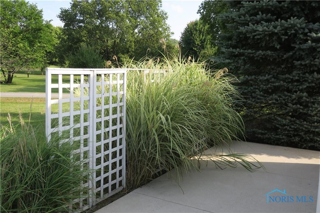 342 South River Road Waterville, OH 43566 - Photo 19 of 21 Gallery Image 19