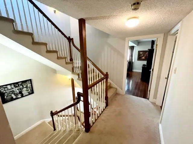 $3,600 | 323 Morgan Street, Unit E, New Orleans, LA 70114