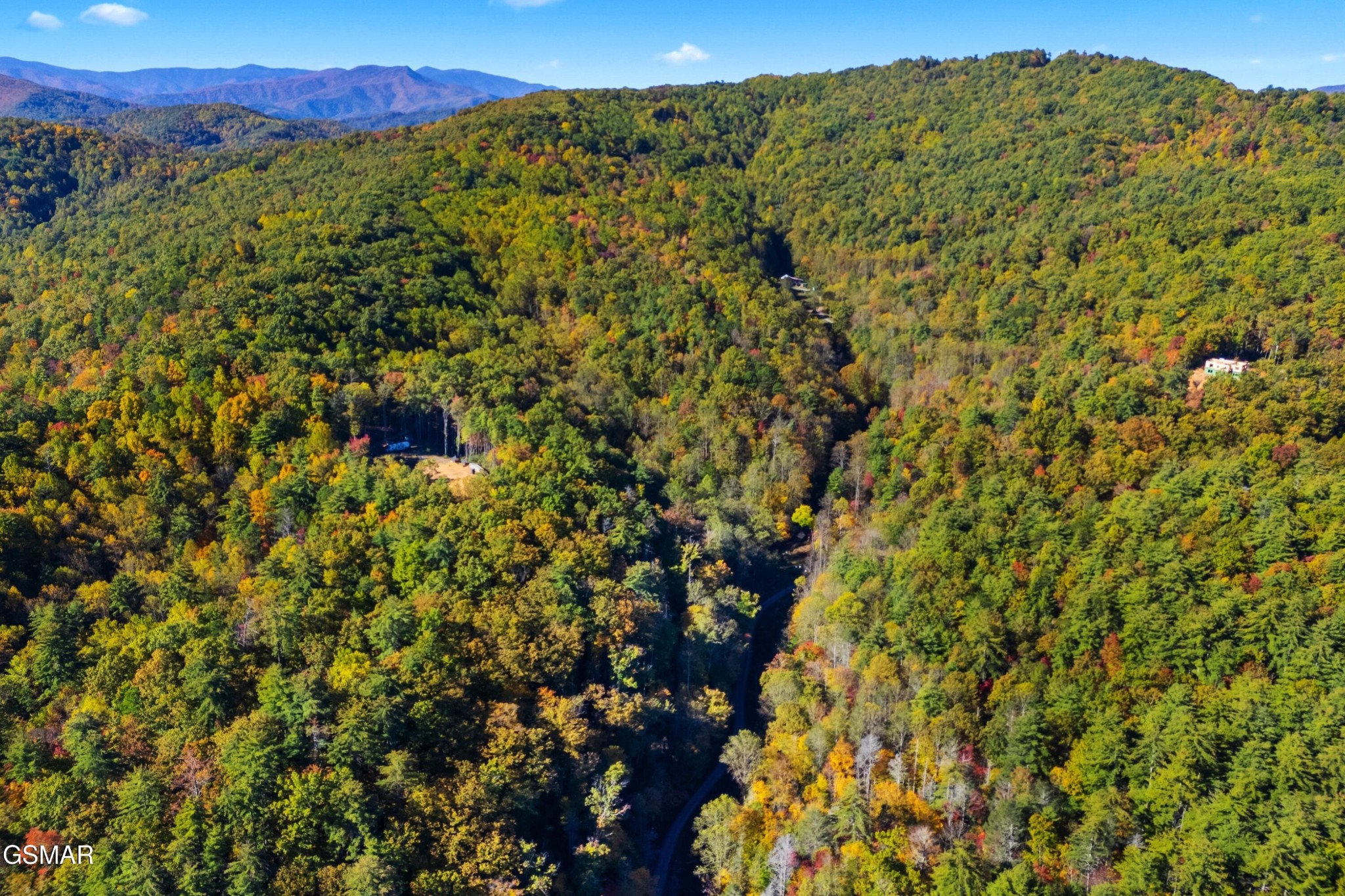 537 Reece Hollow Road Del Rio, TN 37727 - Photo 8 of 13 Gallery Image 8