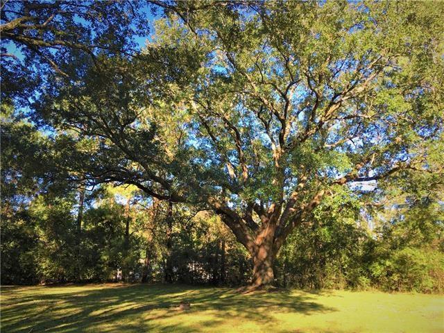 1624 Spring Hill Road Lumberton, MS 39455 - Photo 21 of 23 Gallery Image 21