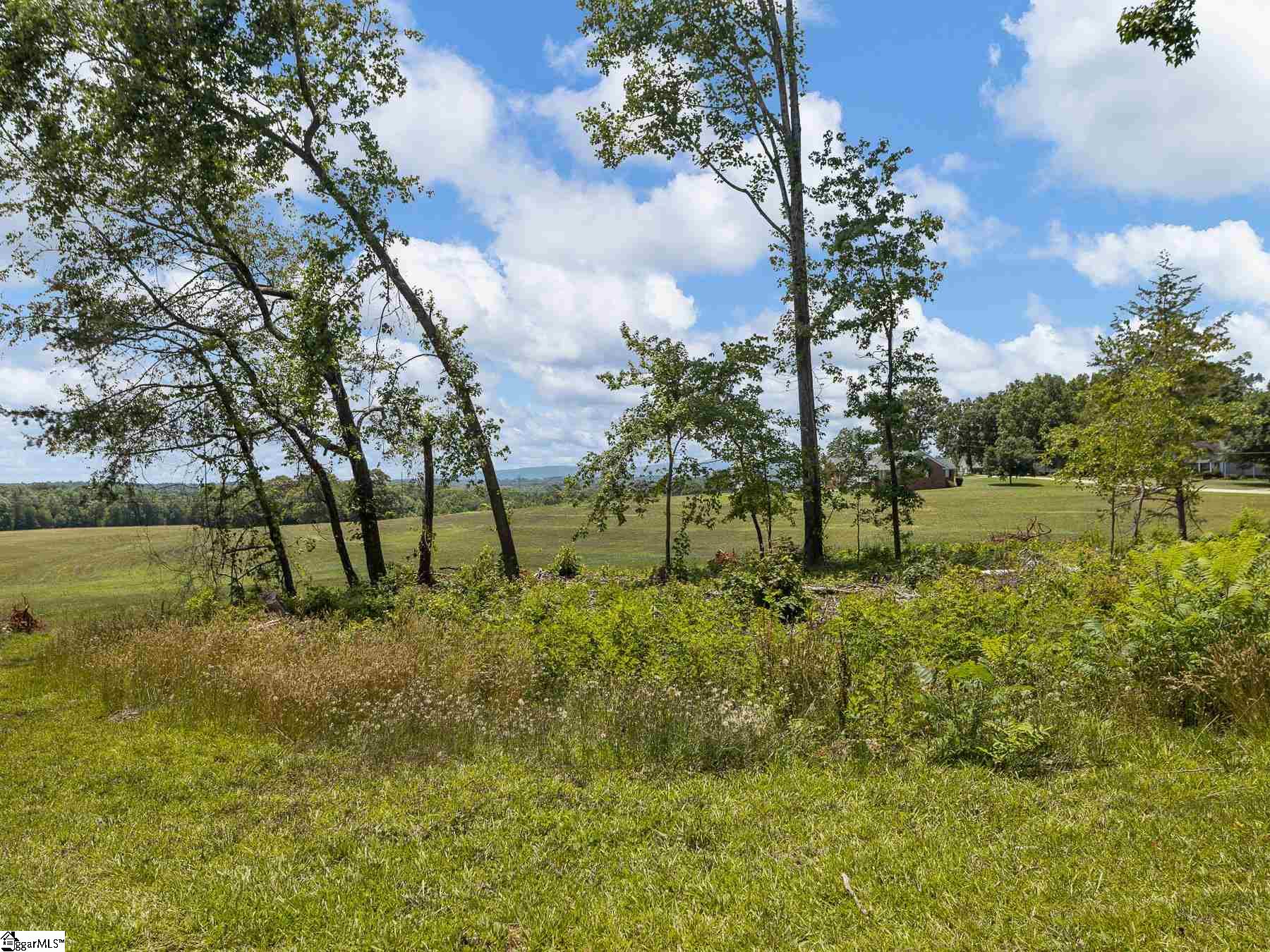 999 North James Road Greer, SC 29651 - Photo 19 of 20