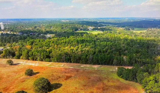 a view of an outdoor space and a yard