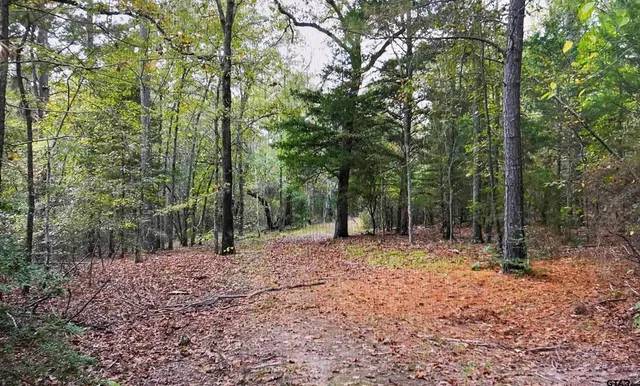 a view of outdoor space with trees