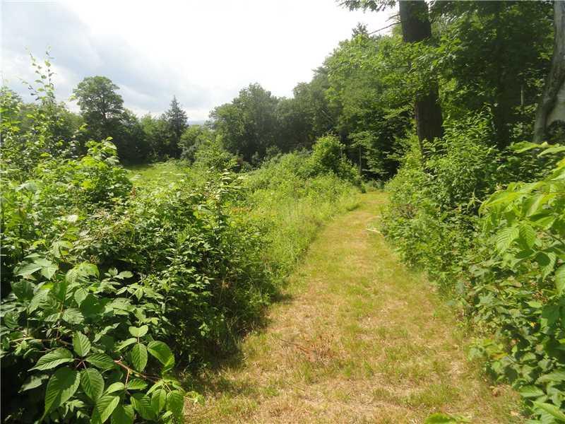 319 Butters Hill Road Stoneham, ME 04231 - Photo 6 of 35 Land. Path along field into the...