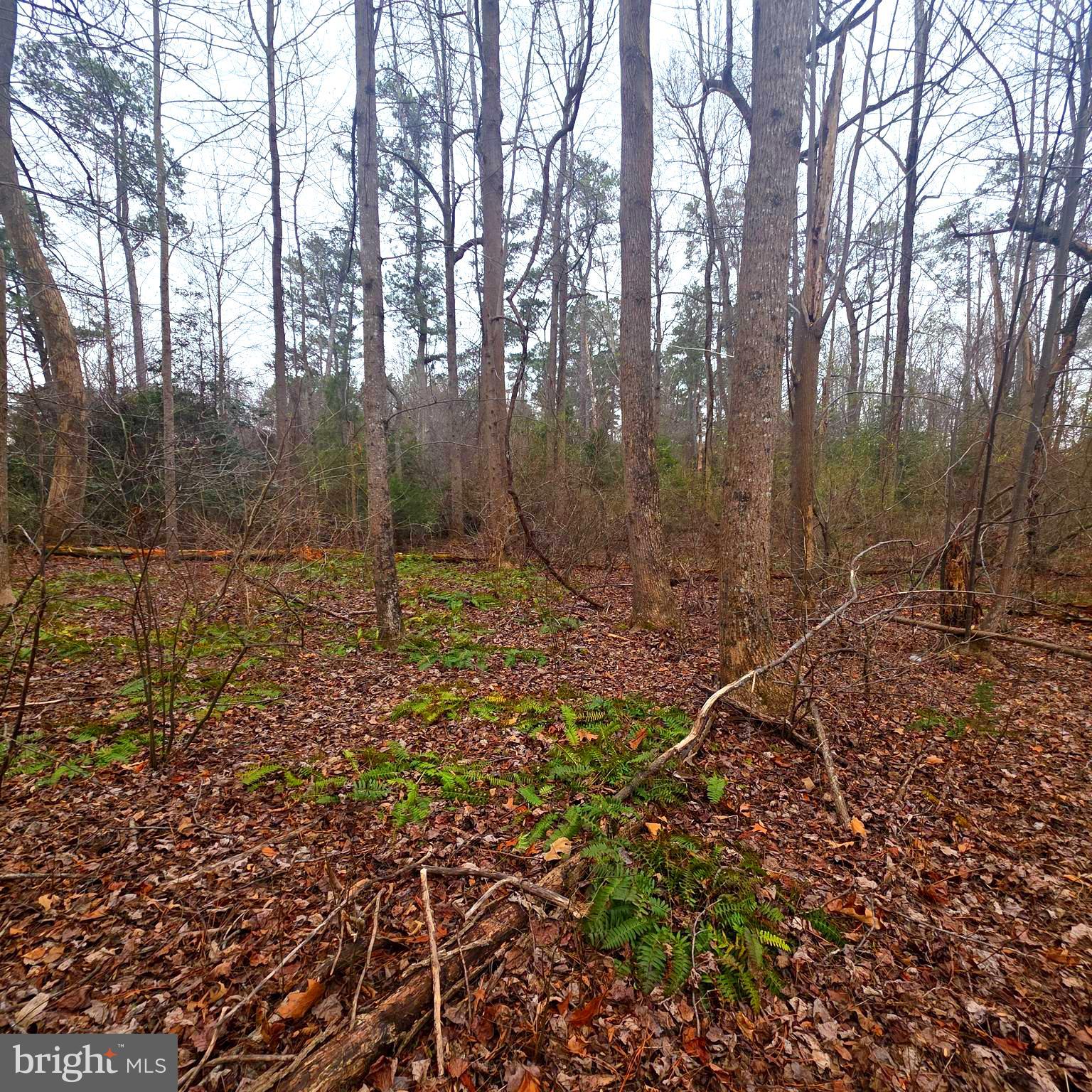 West Highview Drive Lancaster, VA 22503 - Photo 1 of 2