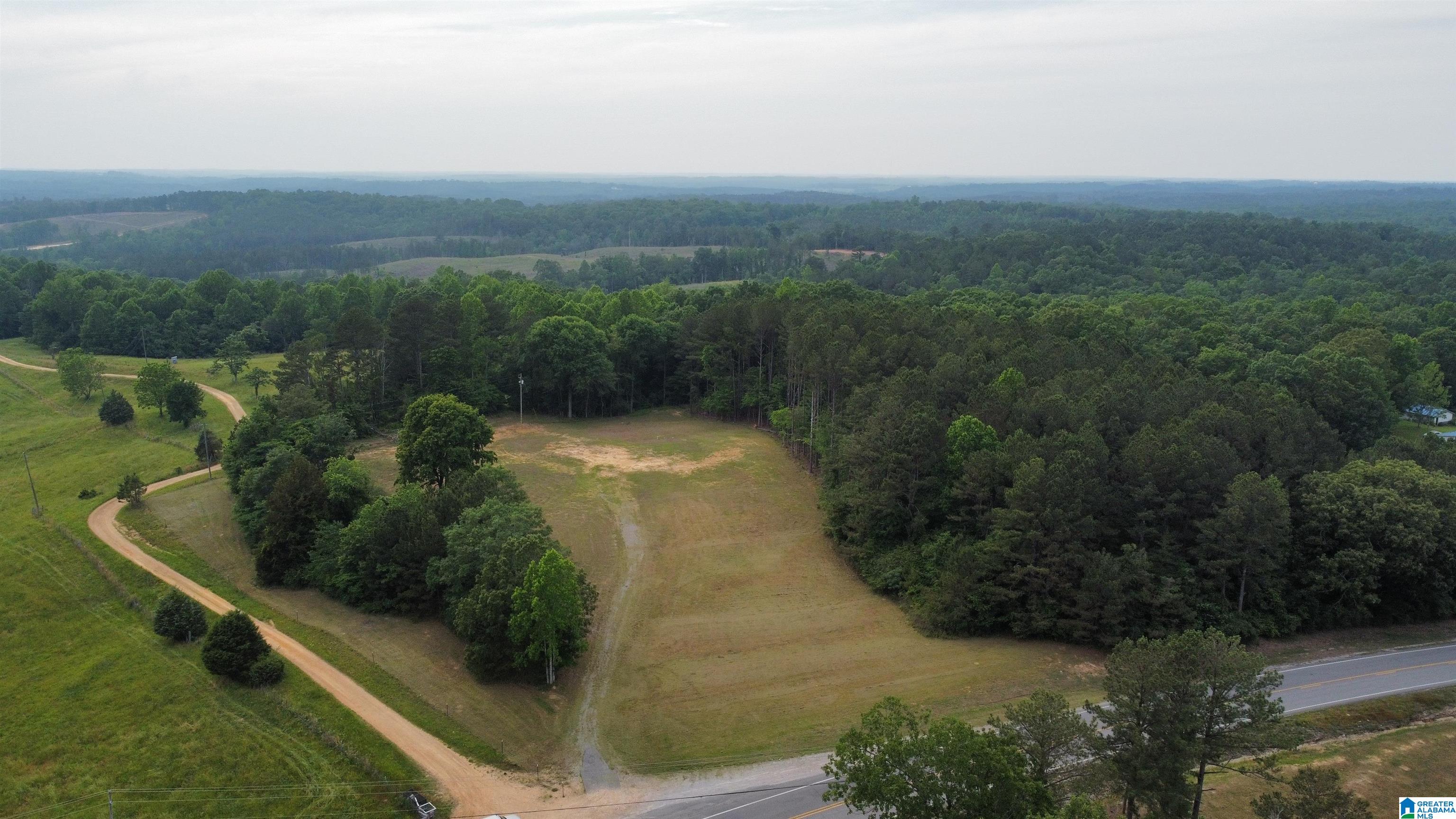 22909 Highway 195 Double Springs, AL 35553 - Photo 9 of 19