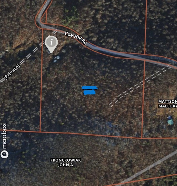 3525 Coe Hill Road Oneonta, NY 13820 - Photo 17 of 28