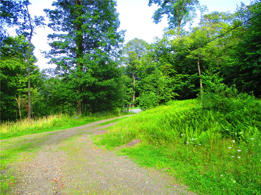 3525 Coe Hill Road Oneonta, NY 13820 - Photo 21 of 28