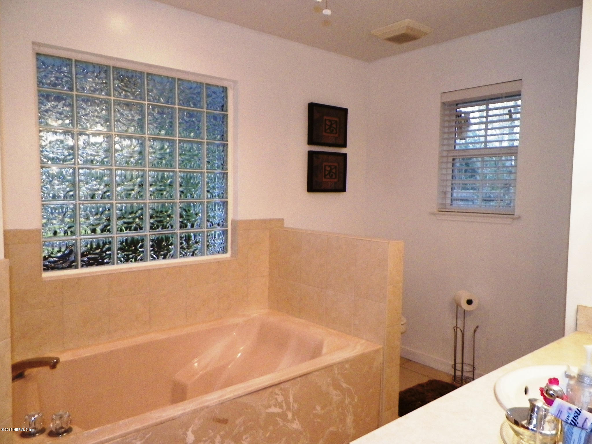4527 Chipmunk Road Middleburg, FL 32068 - Photo 13 of 23 Garden tub in Master Bath