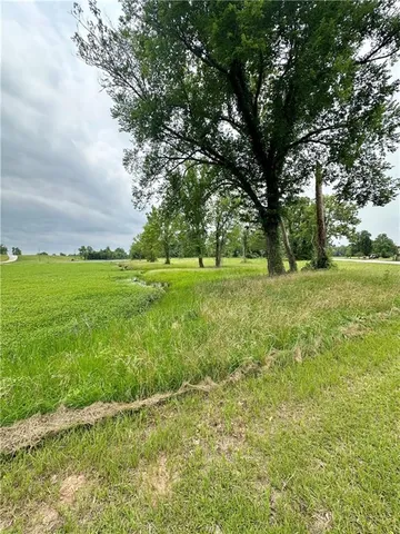 $60,000 | 0 Lucy Belle Drive, Marksville, LA 71351