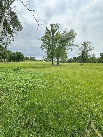 $60,000 | 0 Lucy Belle Drive, Marksville, LA 71351