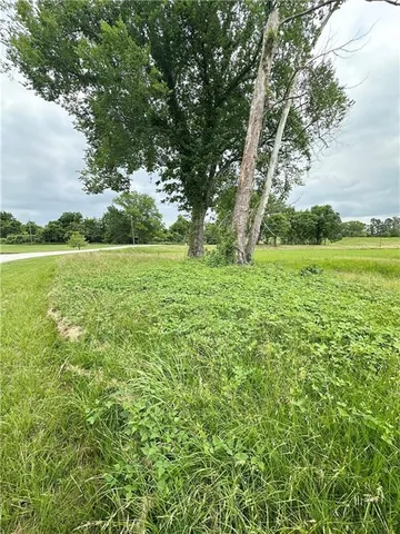 $60,000 | 0 Lucy Belle Drive, Marksville, LA 71351