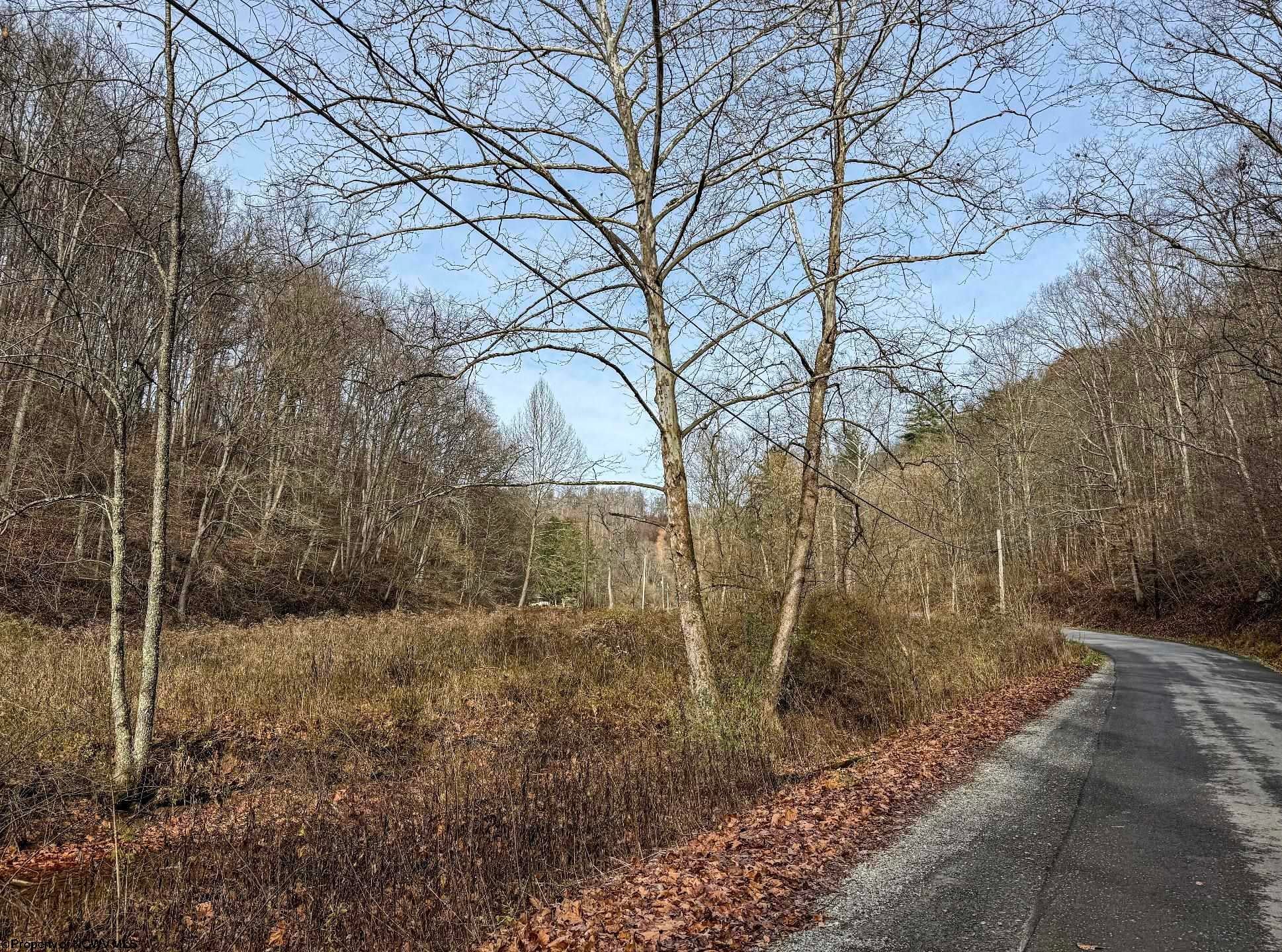 797 Big Elk Road Wallace, WV 26448 - Photo 24 of 46 Gallery Image 24