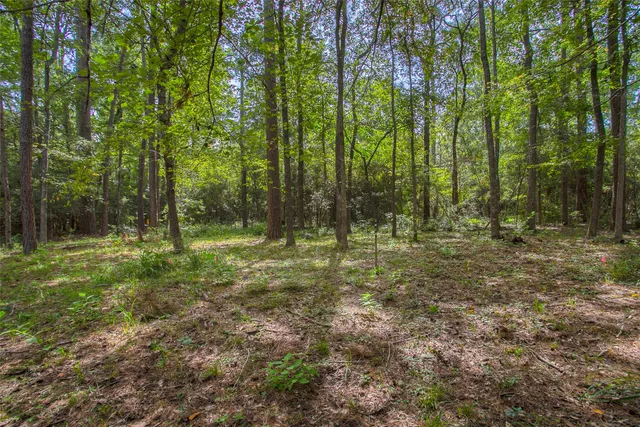 $360,000 | 3825 Summer Lane, Huntsville, TX 77340