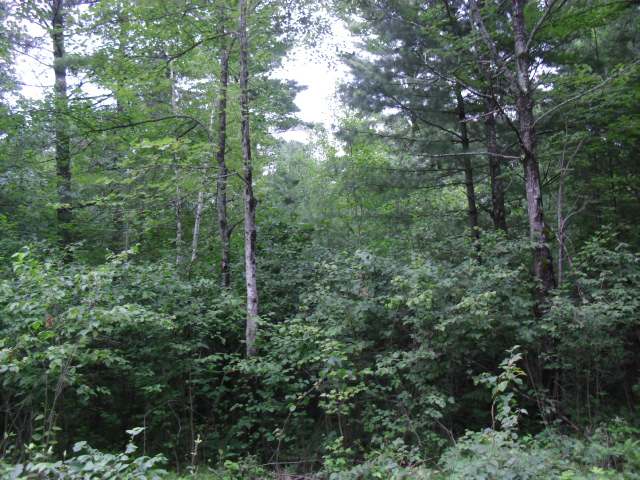 On Rocky Road Tomahawk, WI 54487 - Photo 4 of 5 Gallery Image 4