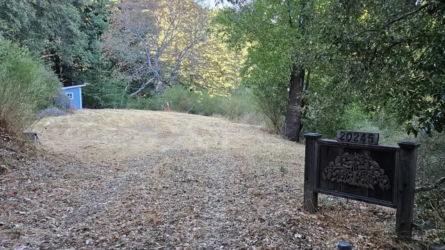 a view of a bench in forest