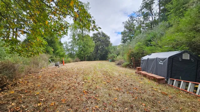 a view of a backyard