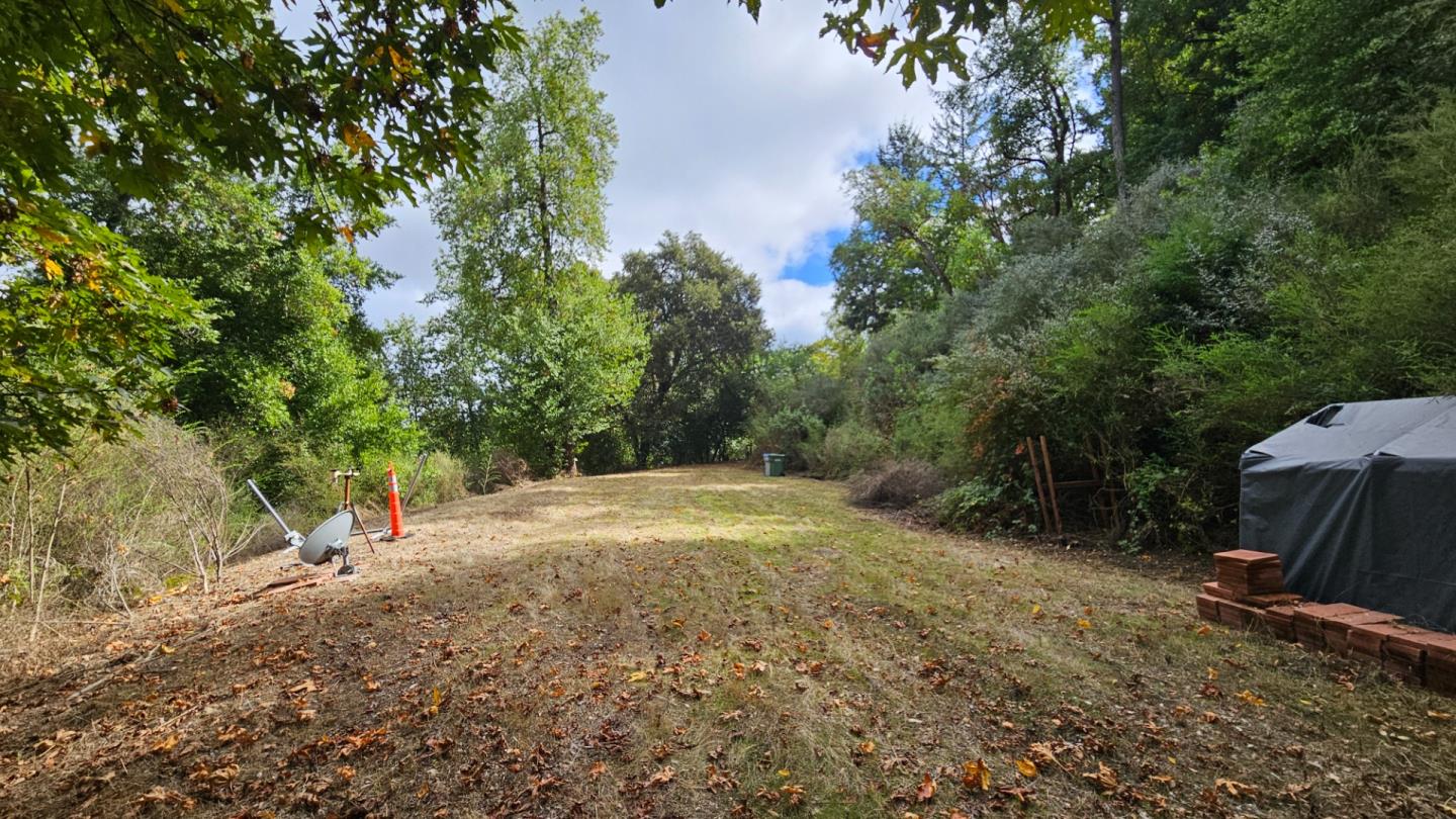 20245 Gist Road Los Gatos, CA 95033 - Photo 3 of 13 a view of a yard with plants and trees