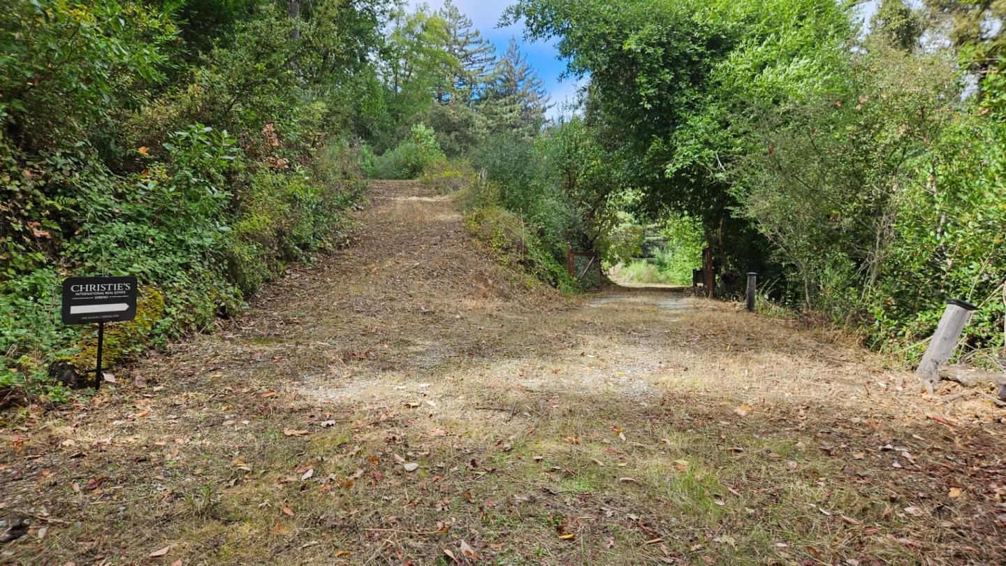 20245 Gist Road Los Gatos, CA 95033 - Photo 4 of 13 a view of a yard with a tree