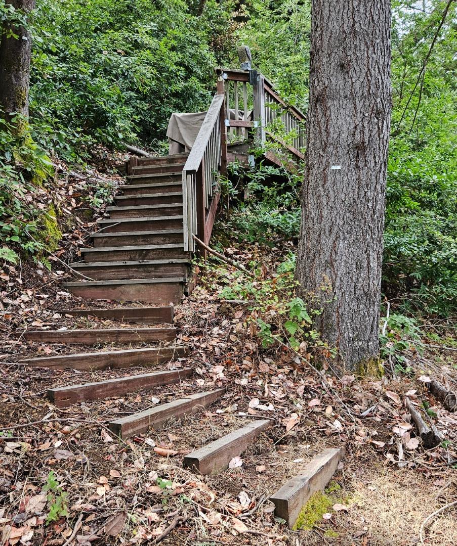 20245 Gist Road Los Gatos, CA 95033 - Photo 5 of 13 a view of a house with a tree