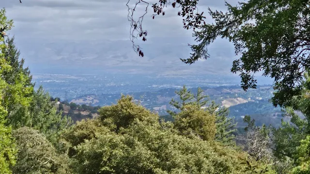 a view of a backyard of a house