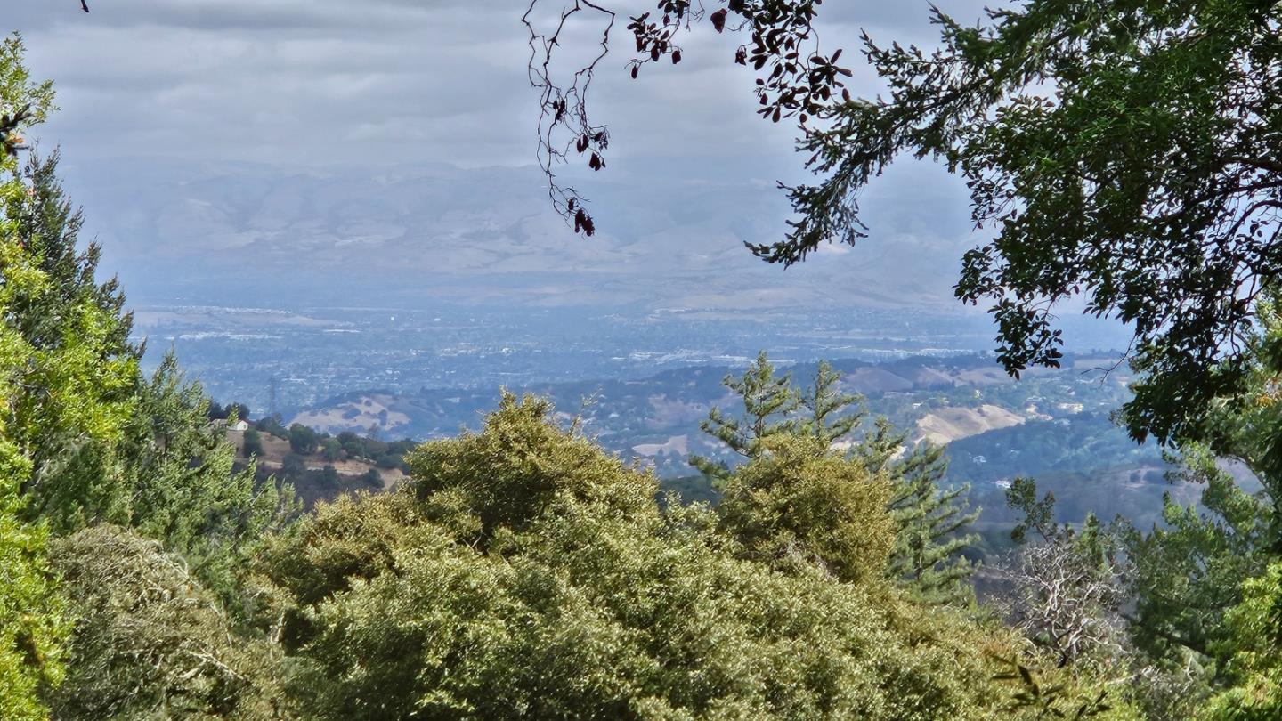 20245 Gist Road Los Gatos, CA 95033 - Photo 6 of 13 a view of a backyard of a house